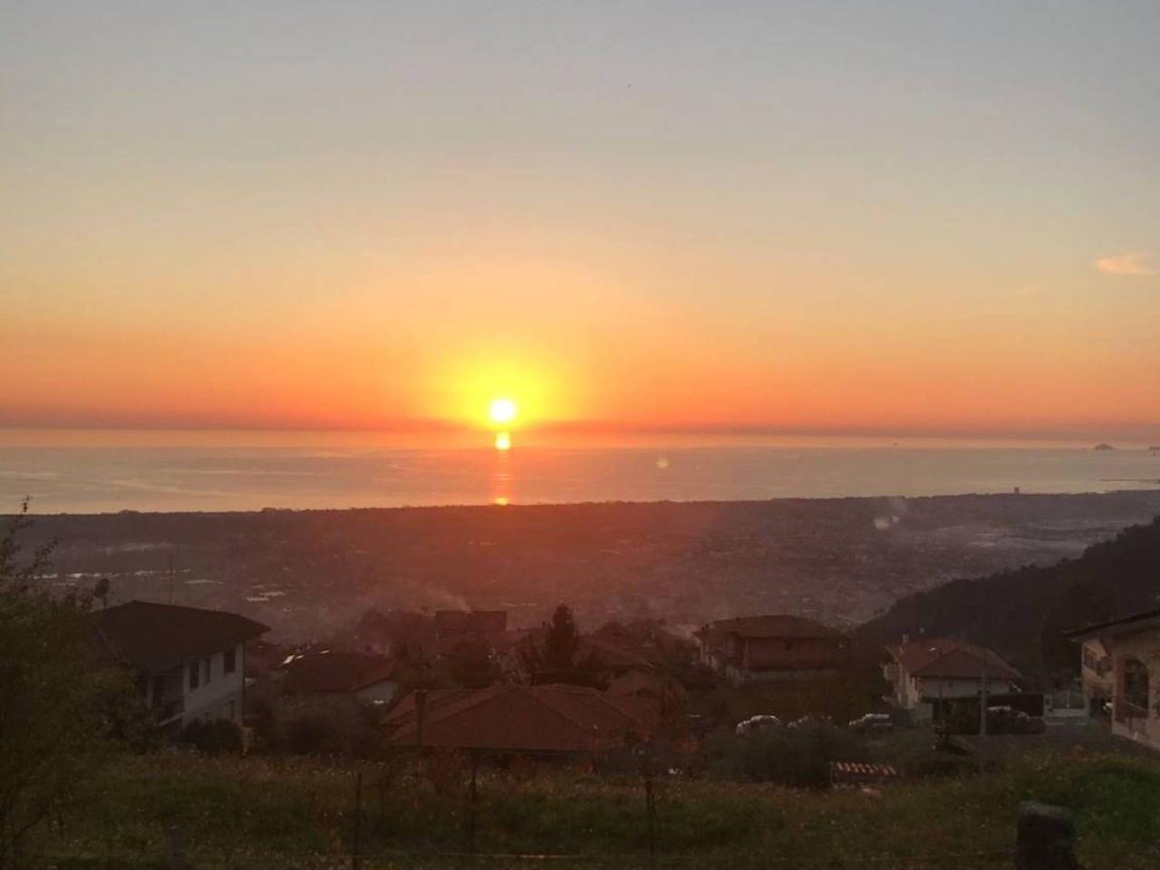 terreno agricolo in vendita a Montignoso