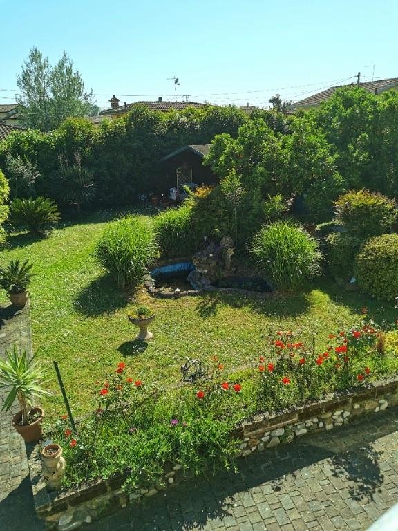 casa indipendente in vendita a Montignoso in zona Renella