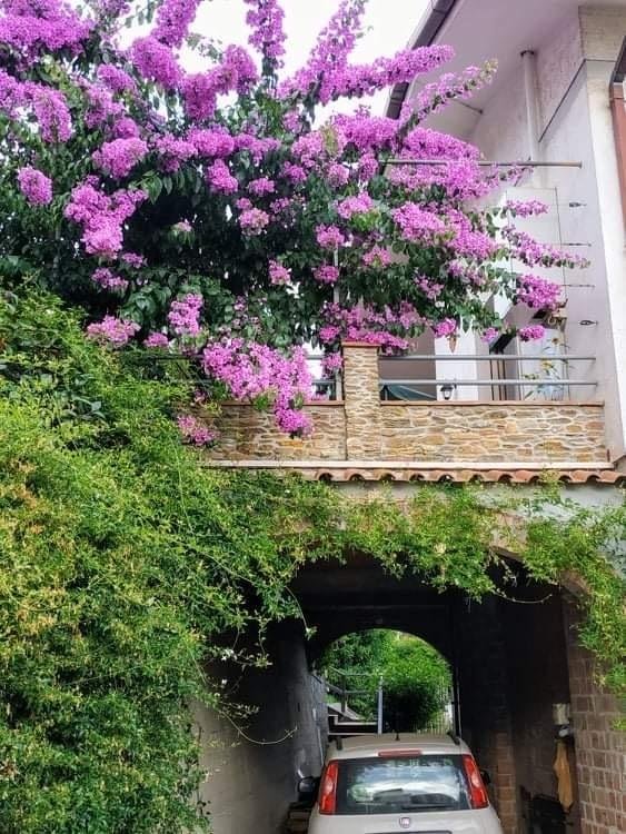 casa indipendente in vendita a Montignoso