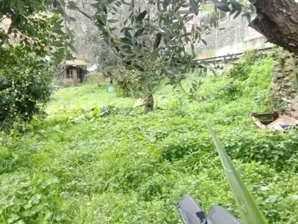 casa indipendente in vendita a Montignoso in zona Capanne