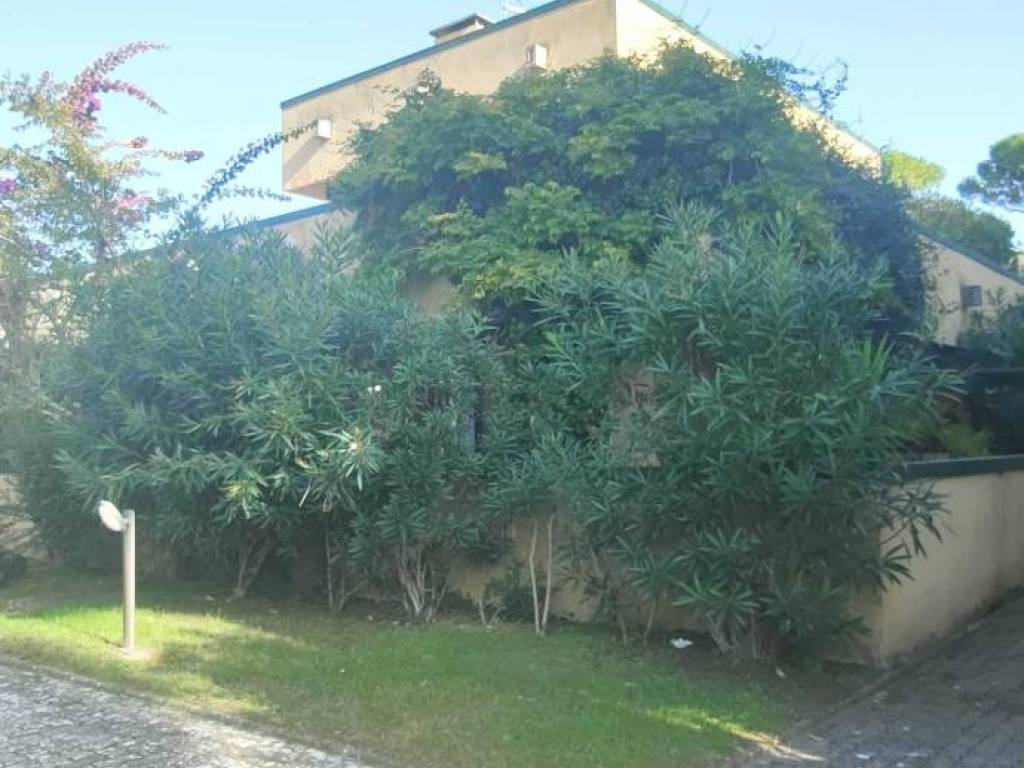 casa indipendente in vendita a Montignoso in zona Cinquale