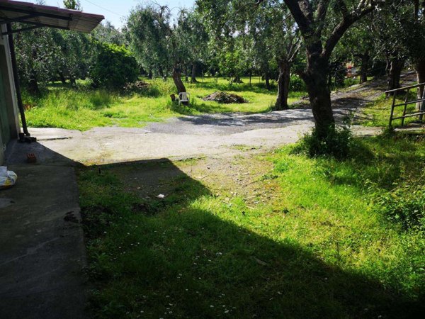intera palazzina in vendita a Montignoso in zona Cervaiolo
