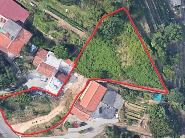 casa indipendente in vendita a Montignoso in zona Palatina