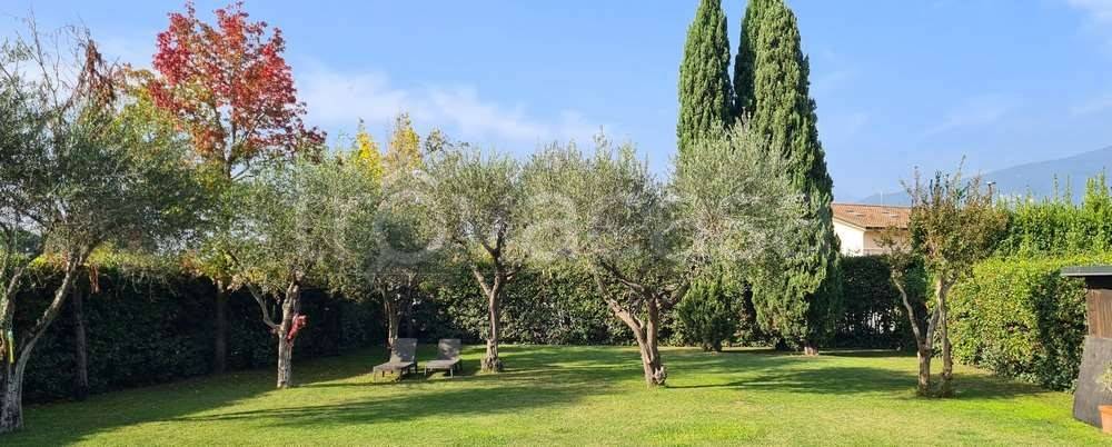 casa indipendente in vendita a Montignoso in zona Cinquale