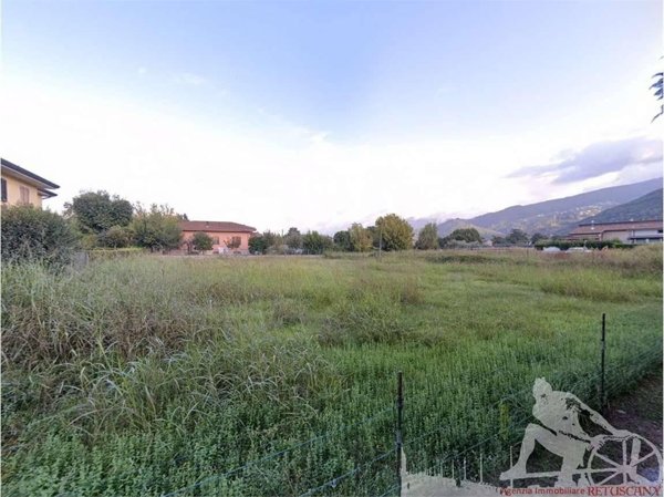 terreno agricolo in vendita a Montignoso in zona Renella