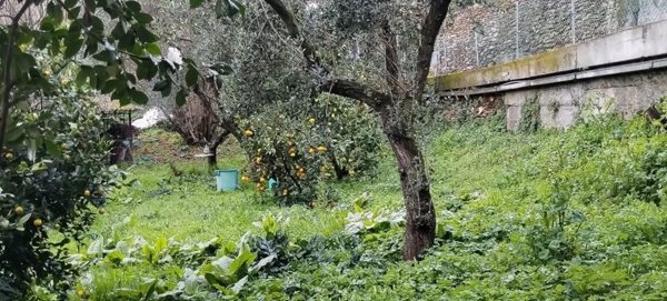 casa indipendente in vendita a Montignoso