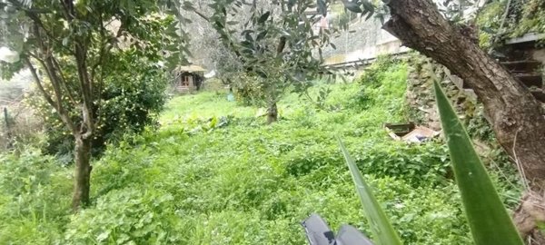 casa indipendente in vendita a Montignoso