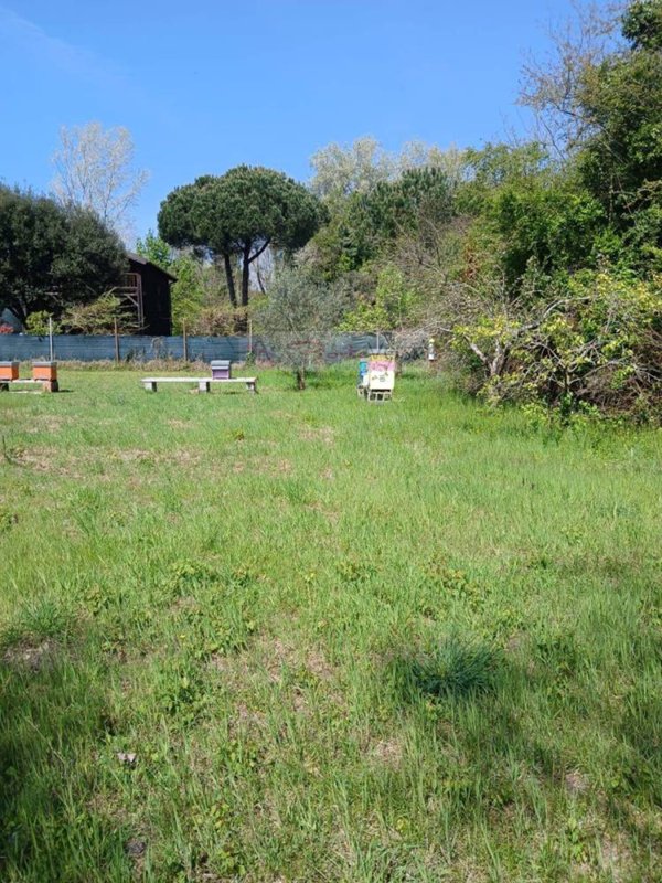 terreno agricolo in vendita a Montignoso