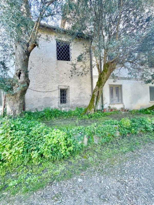 casa indipendente in vendita a Montignoso