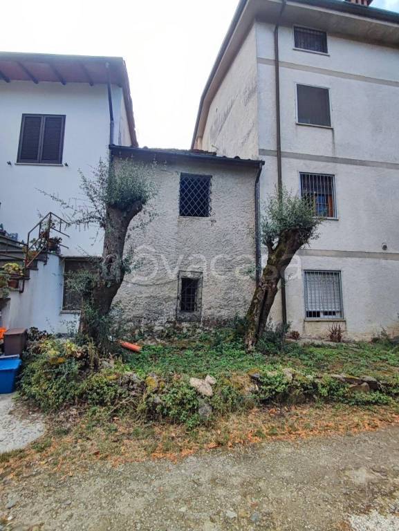 casa indipendente in vendita a Montignoso in zona Capanne