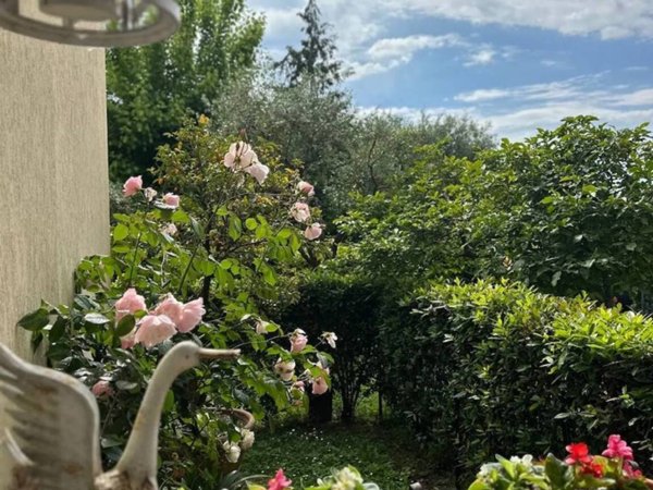 appartamento in vendita a Montignoso in zona Cervaiolo