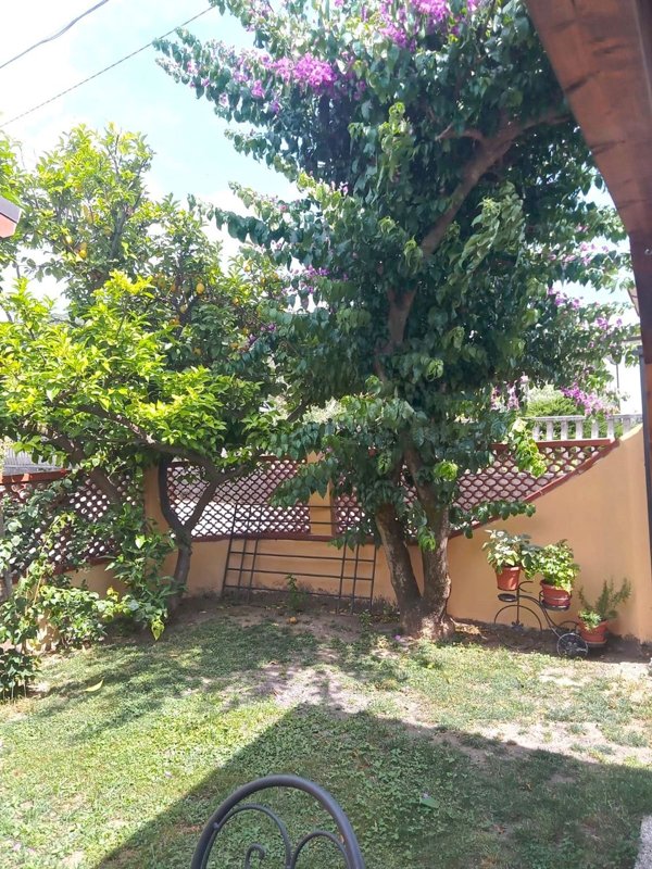 casa indipendente in vendita a Montignoso in zona Debbia