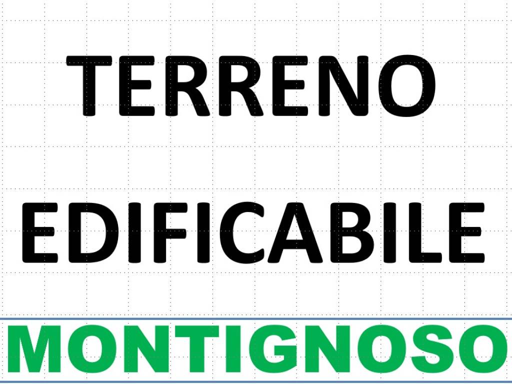 terreno agricolo in vendita a Montignoso