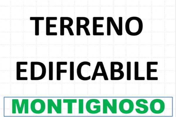 terreno agricolo in vendita a Montignoso