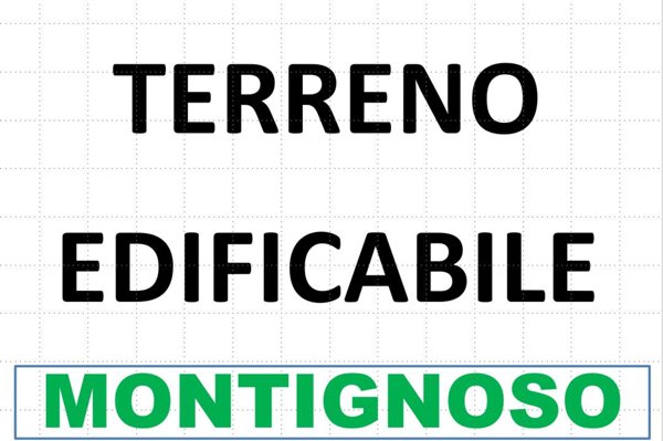 negozio in vendita a Montignoso
