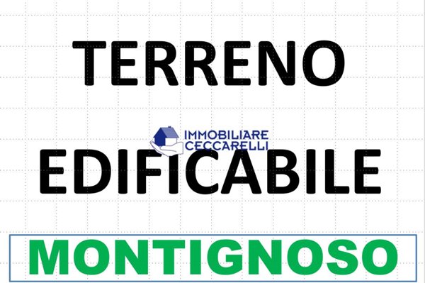 casa indipendente in vendita a Montignoso