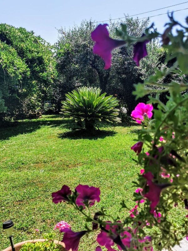 casa indipendente in vendita a Montignoso