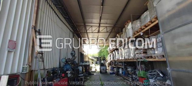 negozio in vendita a Montignoso in zona Renella