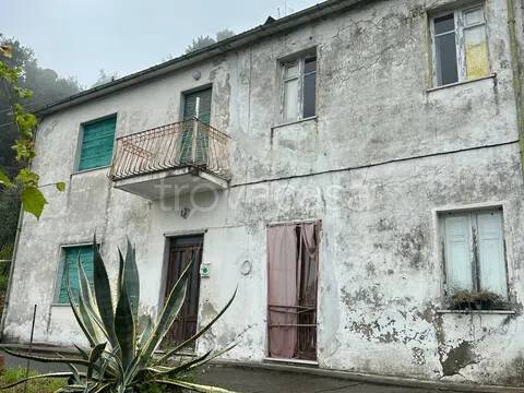 casa indipendente in vendita a Montignoso