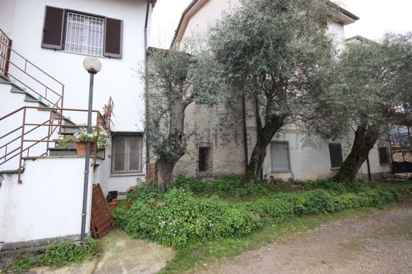 pentavano in vendita a Montignoso in zona Capanne