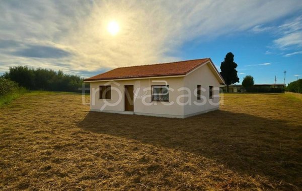 terreno agricolo in vendita a Montignoso in zona Renella
