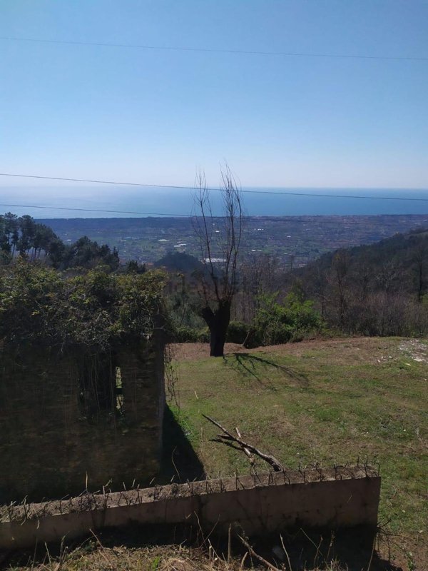 quadrivano in vendita a Montignoso