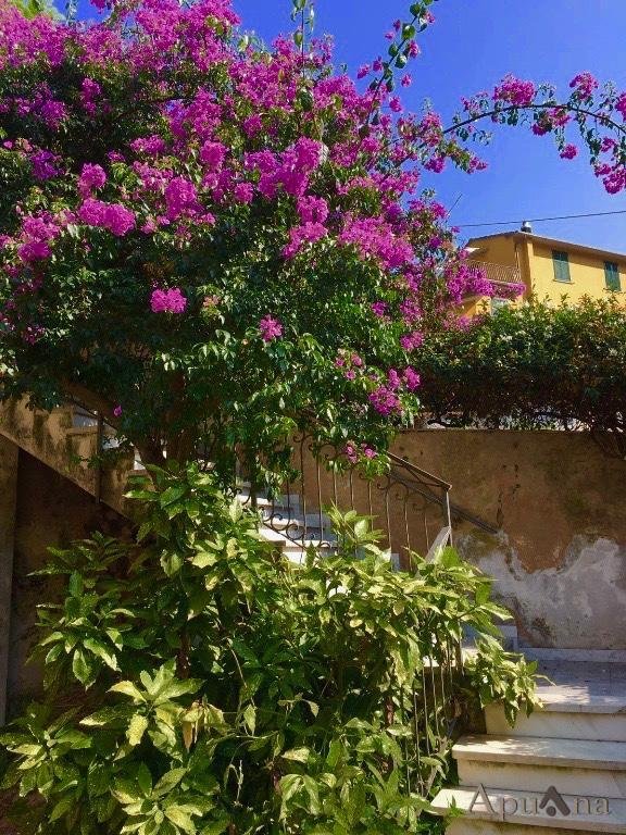 casa indipendente in vendita a Montignoso