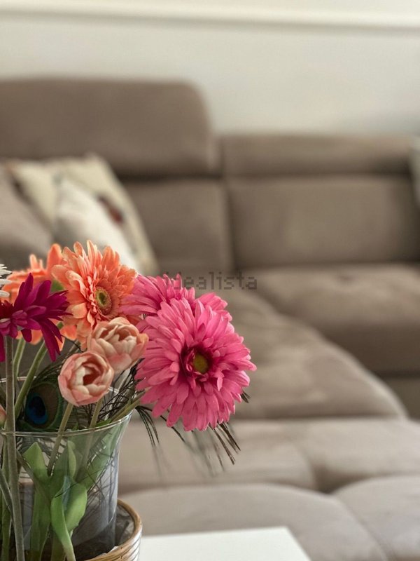 appartamento in vendita a Montignoso