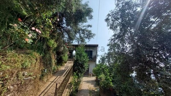 casa indipendente in vendita a Montignoso in zona San Vito