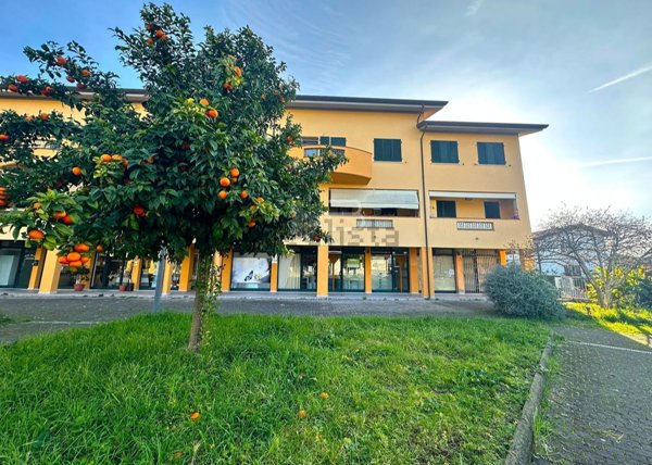 negozio in vendita a Montignoso in zona Cervaiolo