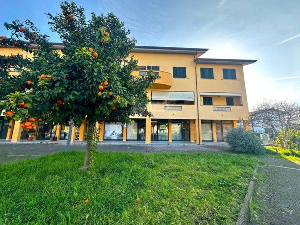 negozio in vendita a Montignoso in zona Cervaiolo