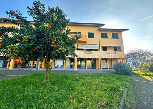 negozio in vendita a Montignoso in zona Cervaiolo