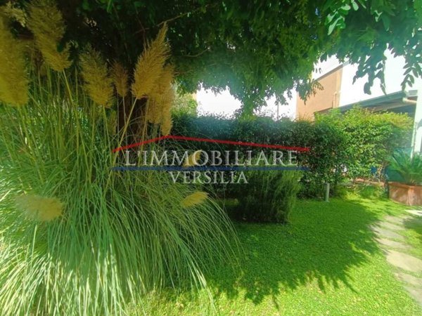 casa indipendente in vendita a Montignoso in zona Renella