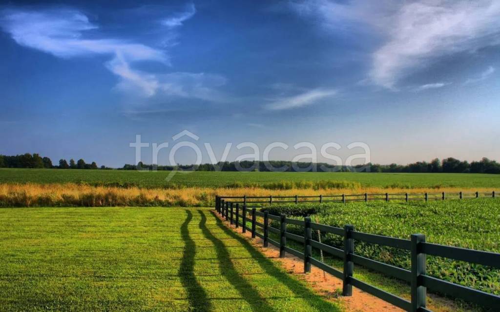 terreno agricolo in vendita a Montignoso in zona Cinquale