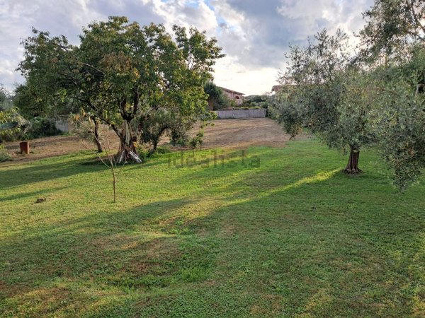 casa indipendente in vendita a Montignoso