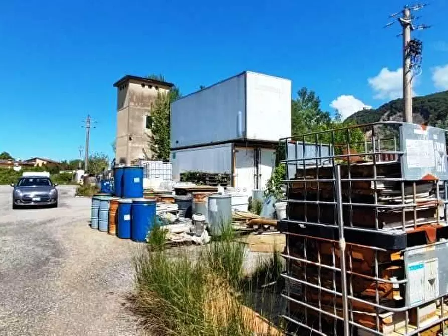 terreno agricolo in vendita a Montignoso