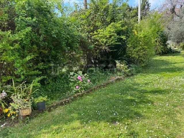 casa indipendente in vendita a Montignoso in zona Cervaiolo