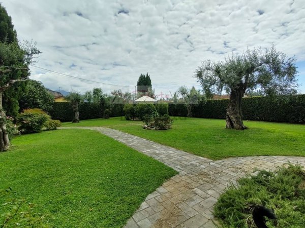 casa indipendente in vendita a Montignoso in zona Renella