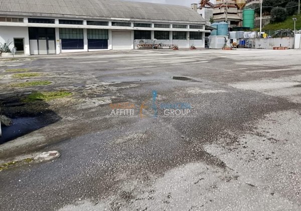 negozio in vendita a Montignoso