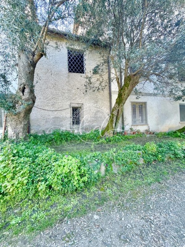 casa indipendente in vendita a Montignoso