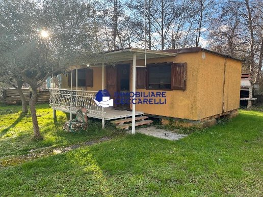 casa indipendente in vendita a Montignoso in zona Renella