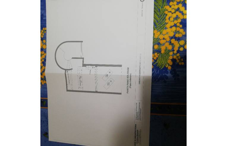 casa indipendente in vendita a Montignoso in zona Cervaiolo