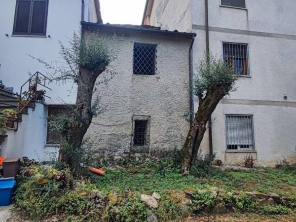 intera palazzina in vendita a Montignoso in zona Capanne