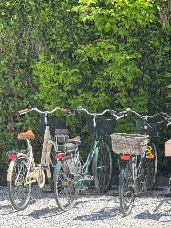appartamento in vendita a Montignoso in zona Cinquale
