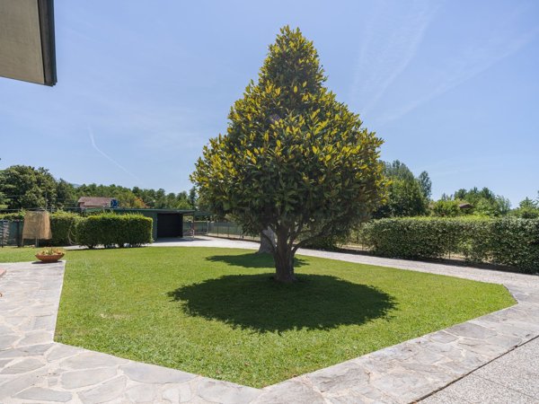 casa indipendente in vendita a Montignoso in zona Renella
