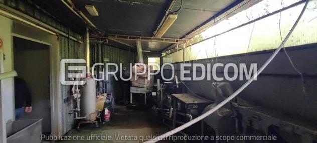 negozio in vendita a Montignoso