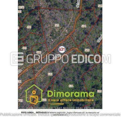 appartamento in vendita a Montignoso