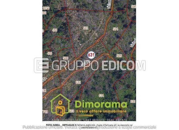 appartamento in vendita a Montignoso in zona Sant'Eustachio