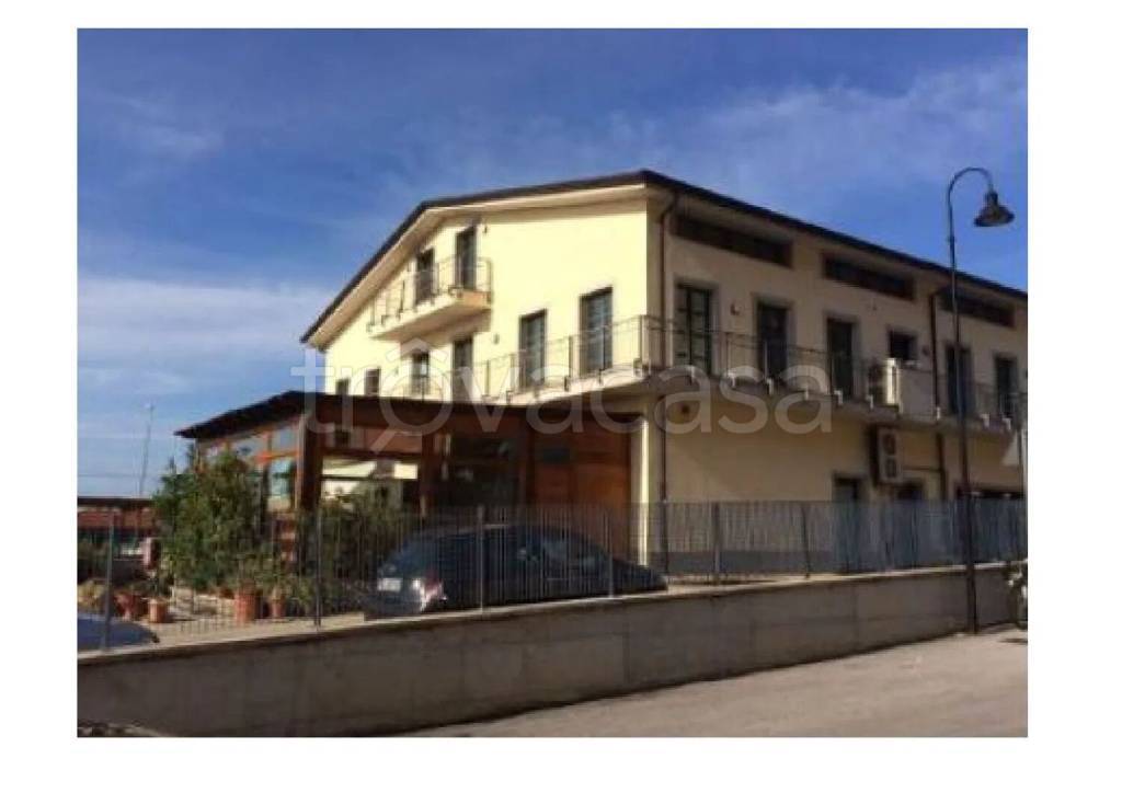 quadrivano in vendita a Montignoso in zona Capanne