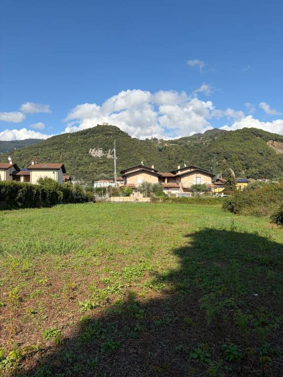 terreno agricolo in vendita a Montignoso in zona Renella